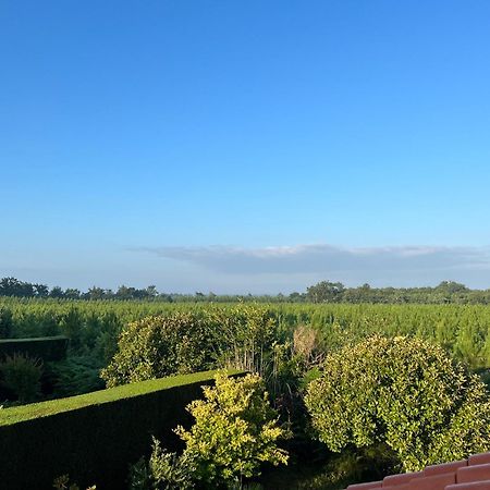 Jolie Maison De Vacances Avec Terrasse Et Jardin Saint-Julien-en-Born Eksteriør billede