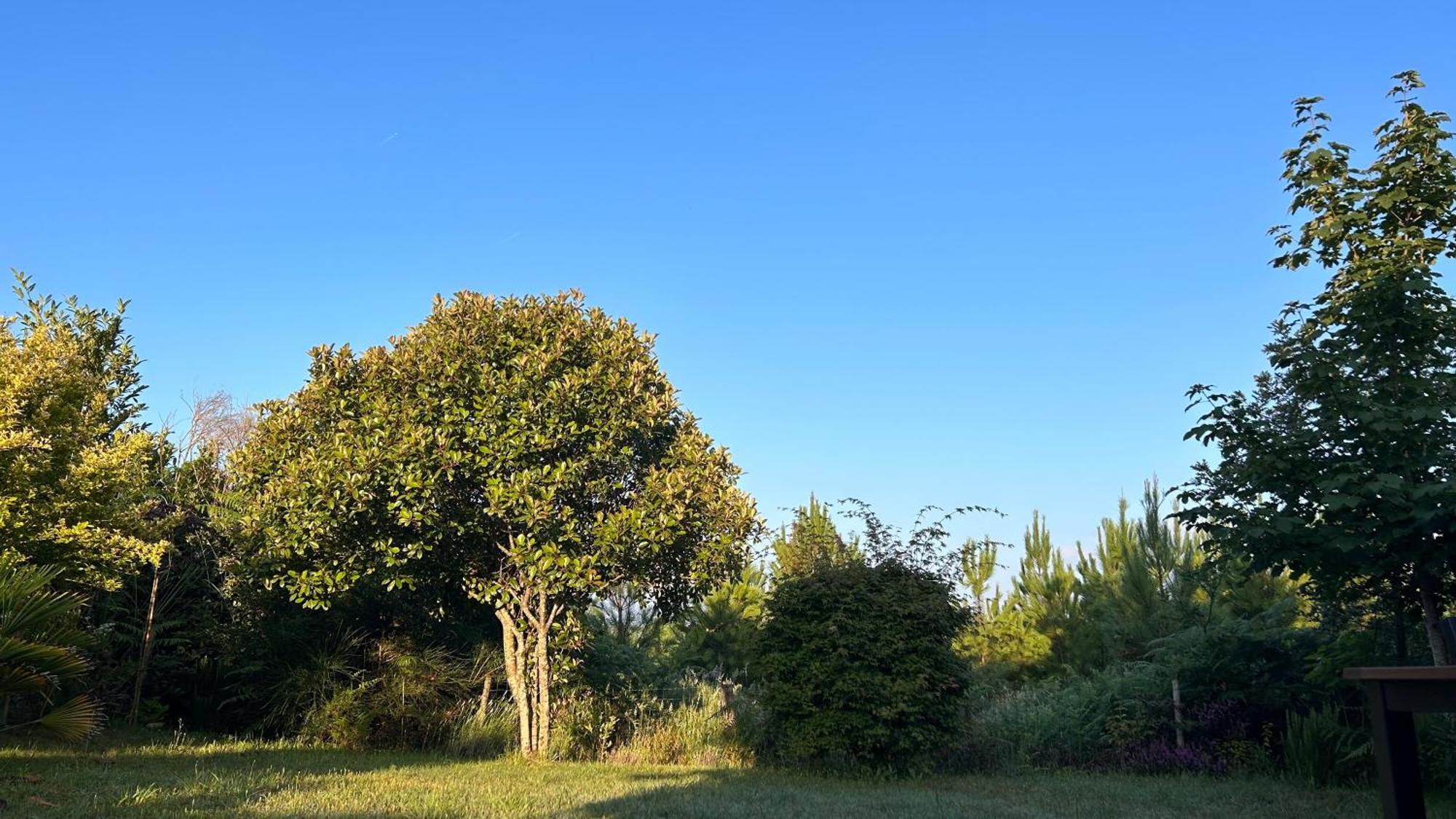 Jolie Maison De Vacances Avec Terrasse Et Jardin Saint-Julien-en-Born Eksteriør billede